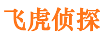 铁山港市侦探调查公司